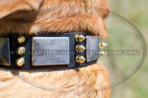 Soft Leather Collar with brass Spikes and Nickel Plates