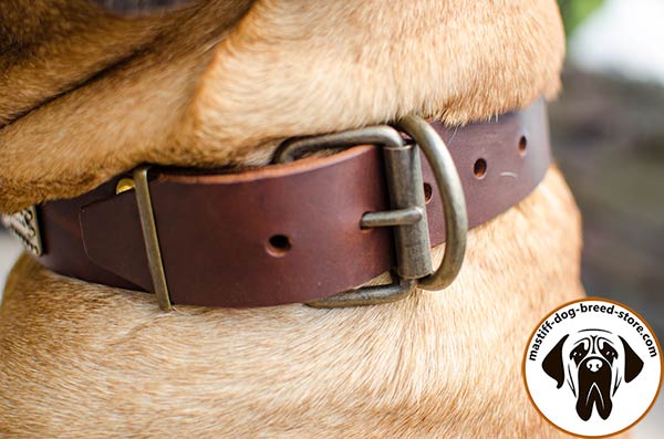 High-quality leather Mastino Napoletano collar 