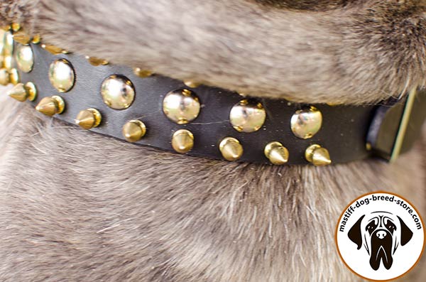 Dog-safe leather Mastino Napoletano collar