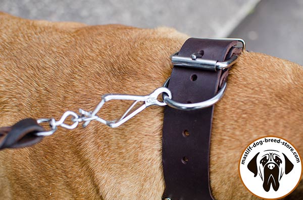 Reliable leather dog collar for Bullmastiff with durable hardware