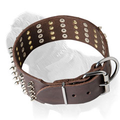 Leather Mastiff collar with handset spikes and studs