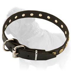 Studded with Brass Circles Collar