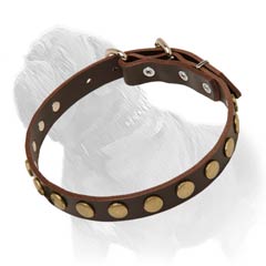 Studded Leather Collar of Brown Color