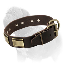 Leather dog collar for Mastiff breed with handset riveted plates