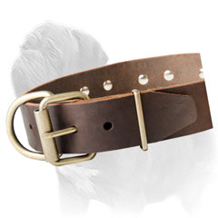Excellent Quality Leather Dog Collar for Mastiff Walking and Training