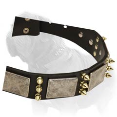 Leather Canine Collar for Daily Mastiff Walking