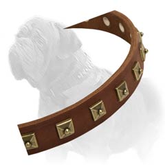 Unique hand crafted collar for maximum comfort and style of your Mastiff