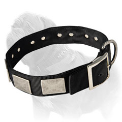 Well designed canine collar for effective Mastiff training