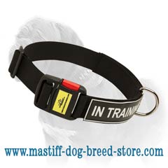 Practical identification collar for your Mastiff