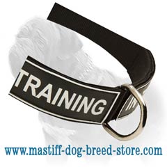 Excellent nylon collar at a low price title=