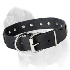 Silvery D-ring and Buckle Set on the Leather Collar