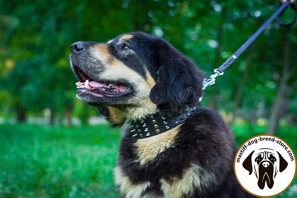 Mastiff black leather collar easy-to-adjust with handset decoration for quality control