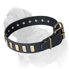 Mastiff Leather Collar for Walking in Style