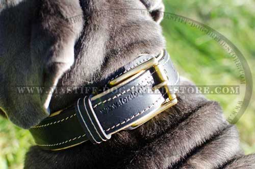 Durable Nappa Padded Leather Collar for Mastiffs