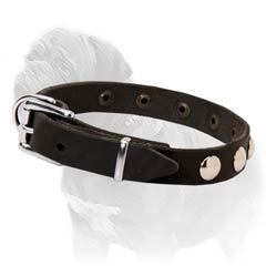 Walking Leather Collar for Mastiffs