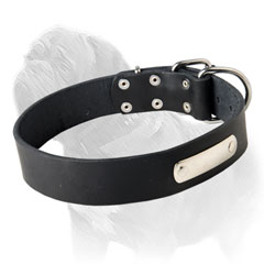 High Quality Genuine Leather Collar for Mastiff Identification