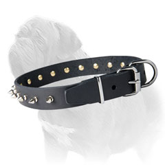 Leather Collar with Strong Metal Parts