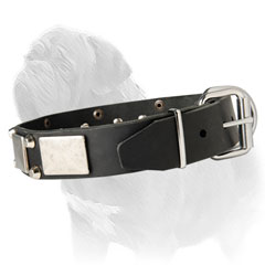Mastiff Leather Collar with Rustproof Hardware