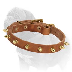 Tan Leather Mastiff Collar with Brass Spikes