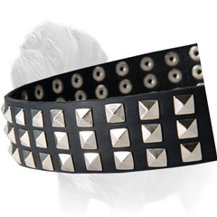 Hand Riveted Studs on Leather Collar