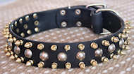 Three Rows brass Leather Spikes & Studded best Dog Collar-Collar