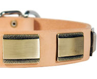 Designer Dog Collar for Mastiff-Leather Custom Collar