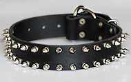 Leather Spiked Dog Collar - Designer Two Rows of spikes