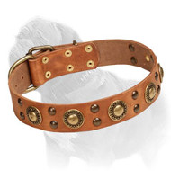 'Golden Knights' Mastiff Dog Collar 'Golden Knights' Mastiff Dog Collar
