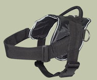 Dog pulling harness for Mastiff