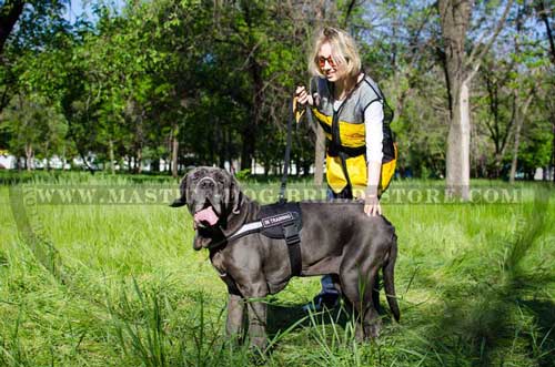 Identification Dog Harness for Tracking, Training, Guarding and Safe Walking
