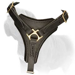 Non-restrictive for movement leather chest plate