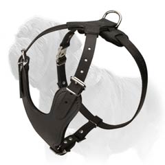 Laconic design Mastiff harness