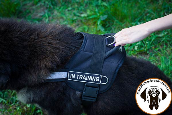 Easy-to-use nylon canine harness for Mastiff with quick release buckle 