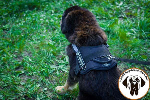 Safe-walking nylon canine harness for Mastiff with reflective trim