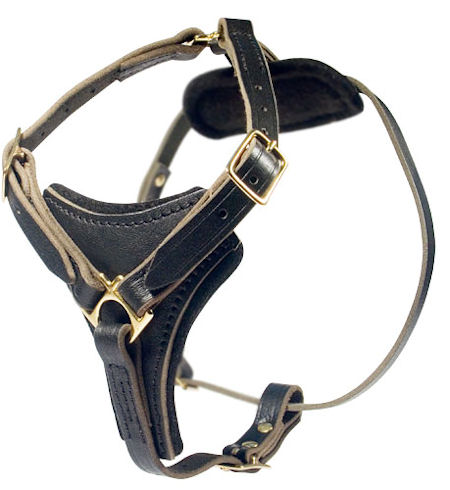 2-ply Latigo Leather Harness for Mastiff