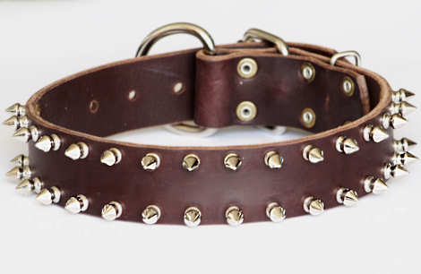 big leather spiked dog collar for GSD