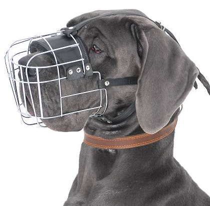 German Mastiff Wire Basket dog muzzle - German Mastiff