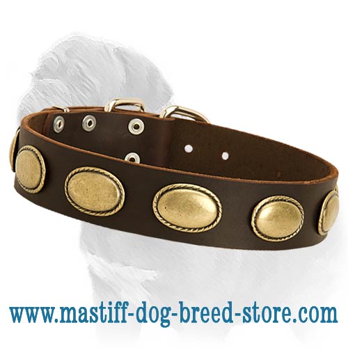 Retro Rulz - Gorgeous Vintage Dog Leather Collar  for Mastiff dog