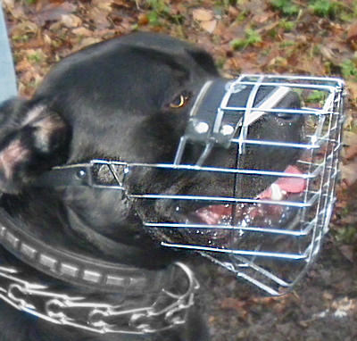 Extra Large Dog Muzzle for Mastiff