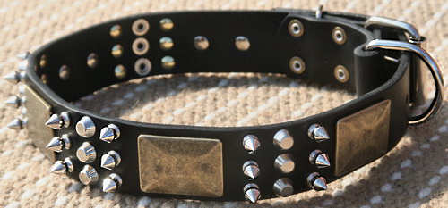 Halsband leer met spikes met messing platen