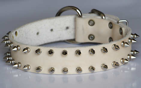 big leather spiked dog collar for GSD