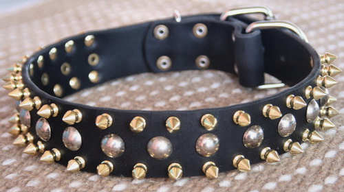 brass spiked dog collar with studs