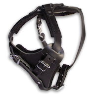 Guarantee Leather Agitation Harness for Mastiff