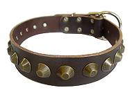Gorgeous Wide Leather Dog Collar - Mastiff leather collar