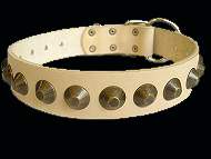 Gorgeous Wide Leather Dog Collar - Mastiff Collar