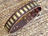 Gorgeous Wide Leather Dog Collar With Plates for Mastiffs