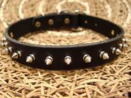 Leather Spiked Dog Collar - One row spikes- custom dog collar