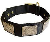Nylon dog collars