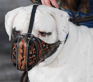 Argentinian Mastiff Hand paintedleather dog muzzle custom Muzzle Argentinian Mastiff Hand paintedleather dog muzzle custom Muzzle