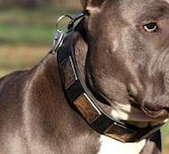 Mastiff Leather Dog Collar With Vintage Massive Plates